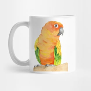 sun parakeet watercolor bird portrait painting Mug